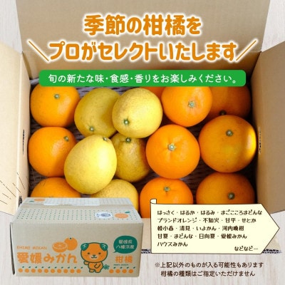 愛媛県八幡浜産 旬のかんきつ詰め合わせバラエティセット 計2kg【訳あり】【C25-293】