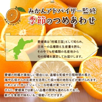 愛媛県八幡浜産 旬のかんきつ詰め合わせバラエティセット 計3kg【訳あり】【D25-294】