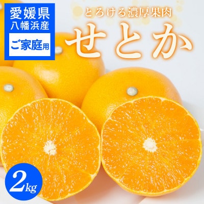 【ご家庭用】せとか 2kg 愛媛八幡浜産【C25-306】