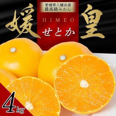 最高級みかん 媛皇 せとか 4kg 愛媛県 八幡浜市 西宇和地区 柑橘の女王【F25-295】