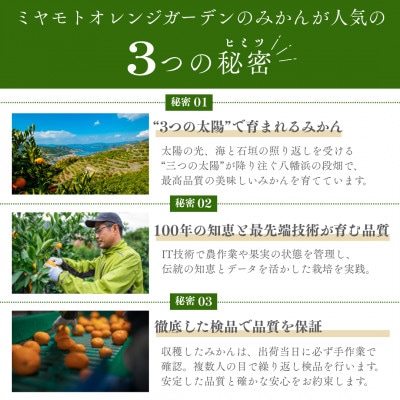 最高級みかん 媛皇 せとか 4kg 愛媛県 八幡浜市 西宇和地区 柑橘の女王【F25-295】