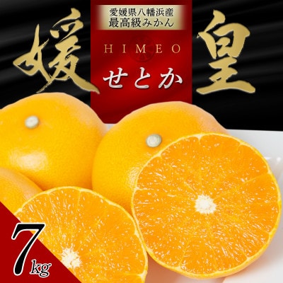 最高級みかん 媛皇 せとか 7kg 愛媛県 八幡浜市 西宇和地区 柑橘の女王【H25-296】