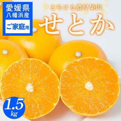 【ご家庭用】せとか 1.5kg みかん 愛媛県 八幡浜産市 西宇和地区 柑橘の女王【C25-299】