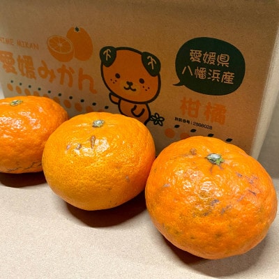 【ご家庭用】甘平 1.5kg 愛媛県 八幡浜産 西宇和地区 扁平で濃い味 新食感【H25-303】