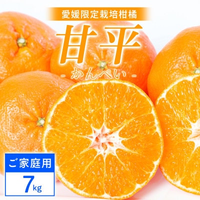 【ご家庭用】甘平 7kg 愛媛県 八幡浜産 西宇和地区 扁平で濃い味 新食感【H25-305】