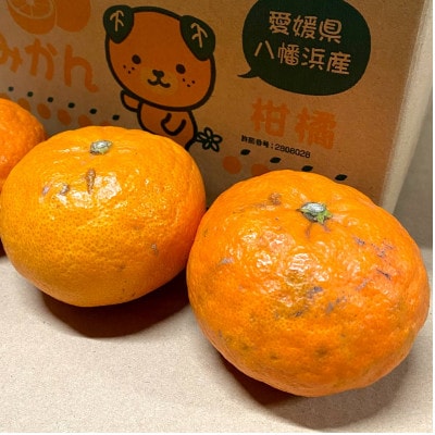 【ご家庭用】甘平 3kg 愛媛県 八幡浜産 西宇和地区 扁平で濃い味 新食感【D25-312】