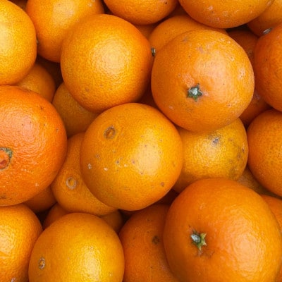 【ご家庭用】甘平×まどんな 2kg「紅プリンセス」と同品種 愛媛果試48【C25-317】