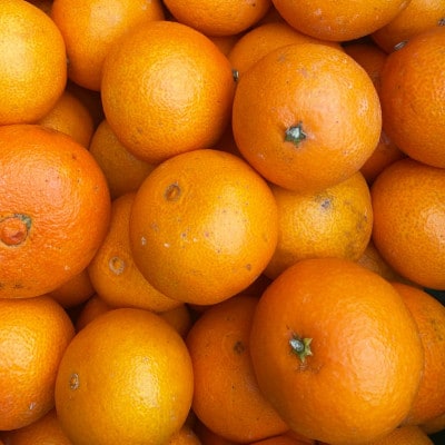 【ご家庭用】甘平×まどんな 4kg ご家庭用「紅プリンセス」と同品種 愛媛果試48【D25-318】