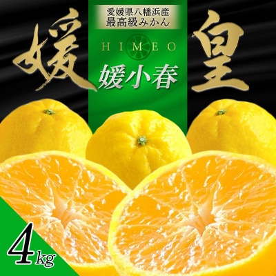 最高級みかん 媛皇 媛小春 4kg 愛媛県 八幡浜市 希少な幻の柑橘 黄色【H25-321】