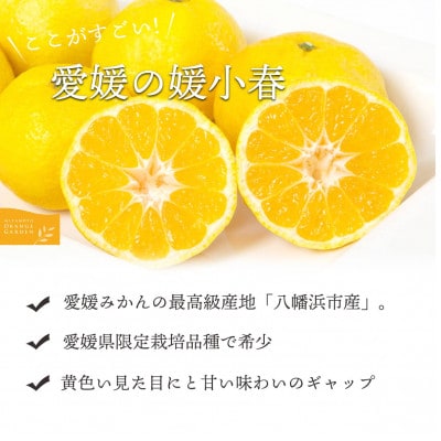 最高級みかん 媛皇 媛小春 7kg 愛媛県 八幡浜市 希少な幻の柑橘 黄色【H25-322】