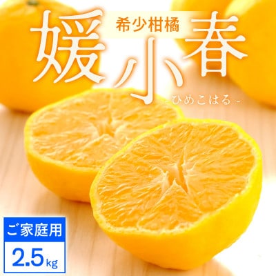 【ご家庭用】媛小春 2.5kg 愛媛県 八幡浜市 西宇和地区 希少な幻の柑橘【C25-323】