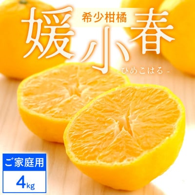 【ご家庭用】媛小春 4kg 愛媛県 八幡浜市 西宇和地区 希少な幻の柑橘【D25-324】