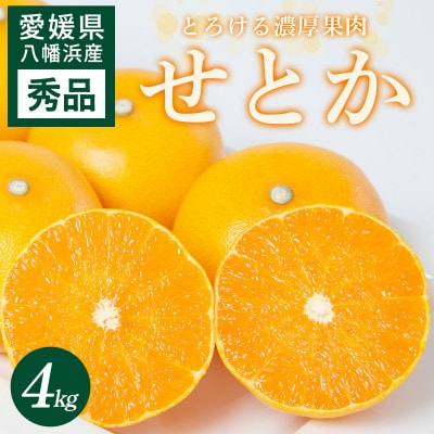 せとか 4kg 愛媛県 八幡浜市 西宇和地区 とろける濃厚果肉 柑橘の女王【E25-326】