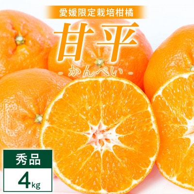 甘平 4kg 愛媛県 八幡浜市 西宇和地区 扁平で濃い味【E25-331】