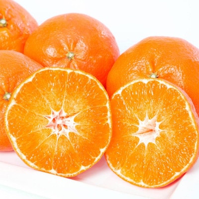 甘平 4kg 愛媛県 八幡浜市 西宇和地区 扁平で濃い味【E25-331】