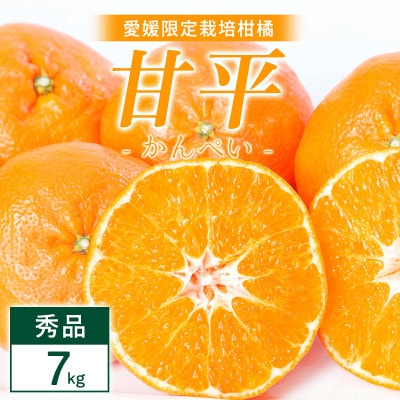 甘平 7kg 愛媛県 八幡浜市 西宇和地区 扁平で濃い味【H25-332】