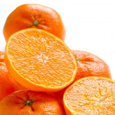 甘平 7kg 愛媛県 八幡浜市 西宇和地区 扁平で濃い味【H25-332】