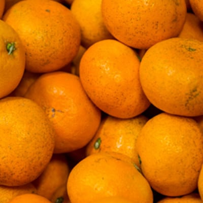 【訳あり】甘平 4kg 愛媛県 八幡浜市 西宇和地区 扁平で濃い味【E25-334】