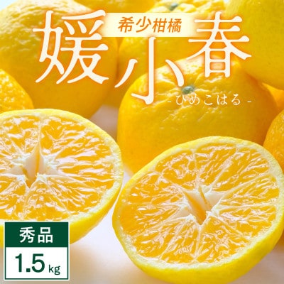 媛小春 1.5kg 愛媛県 八幡浜市 西宇和地区 希少な幻の柑橘 黄色いみかん【C25-357】