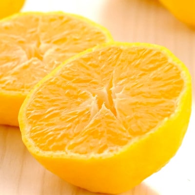 媛小春 1.5kg 愛媛県 八幡浜市 西宇和地区 希少な幻の柑橘 黄色いみかん【C25-357】