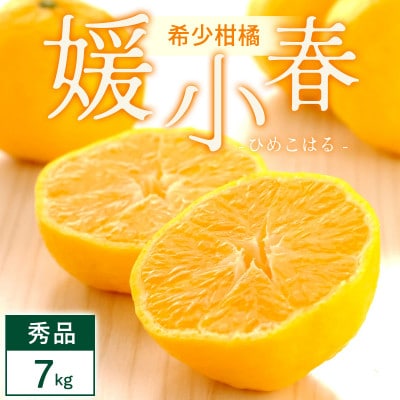 媛小春 7kg 愛媛県 八幡浜市 西宇和地区 希少な幻の柑橘 黄色いみかん【G25-346】