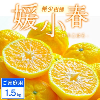 【ご家庭用】媛小春 1.5kg みかん 愛媛県八幡浜市 西宇和地区 希少な幻の柑橘【C25-358】