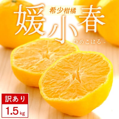 【訳あり】媛小春 1.5kg みかん 愛媛県 八幡浜市 西宇和地区 希少な幻の柑橘【C25-359】