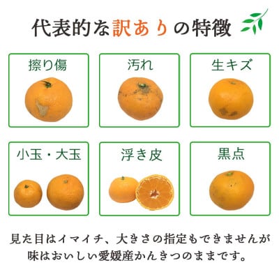 【訳あり】媛小春 4kg みかん 愛媛県 八幡浜市 西宇和地区 希少な幻の柑橘【E25-360】