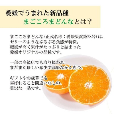 【ご家庭用】紅まどんな と同品種 愛媛果試28号 7kg みかん 八幡浜市【H25-362】