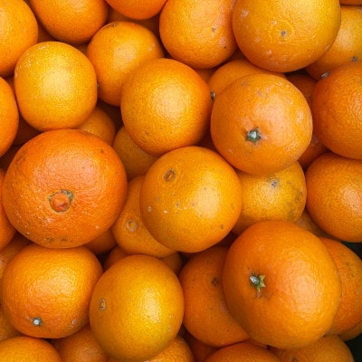 【ご家庭用】紅まどんな と同品種 愛媛果試28号 7kg みかん 八幡浜市【H25-362】