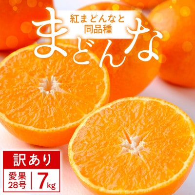 【訳あり】紅まどんな と同品種!愛果28号 7kg【H25-363】