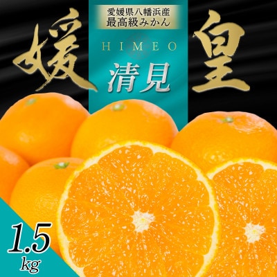 最高級みかん 媛皇 清見 1.5kg 愛媛県 八幡浜市 西宇和地区 柔らかい果肉【C25-347】