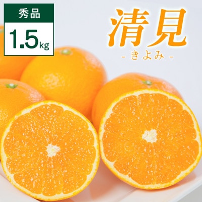 清見 1.5kg 愛媛県 八幡浜市 西宇和地区 柔らかい果肉【C25-350】