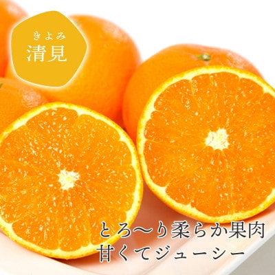 清見 4kg 愛媛県 八幡浜市 西宇和地区 柔らかい果肉【D25-352】