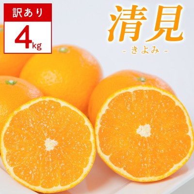 【訳あり】清見 4kg 愛媛県 八幡浜市 西宇和地区 柔らかい果肉【E25-378】