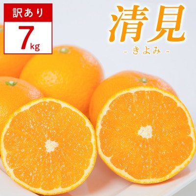 【訳あり】清見 7kg 愛媛県 八幡浜市 西宇和地区 柔らかい果肉【H25-379】