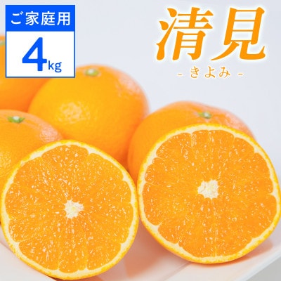【ご家庭用】清見 4kg 愛媛県 八幡浜市 西宇和地区 柔らかい果肉【D25-364】