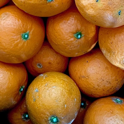 【ご家庭用】清見 4kg 愛媛県 八幡浜市 西宇和地区 柔らかい果肉【D25-364】