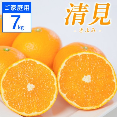 【ご家庭用】清見 7kg 愛媛県 八幡浜市 西宇和地区 柔らかい果肉【G25-365】