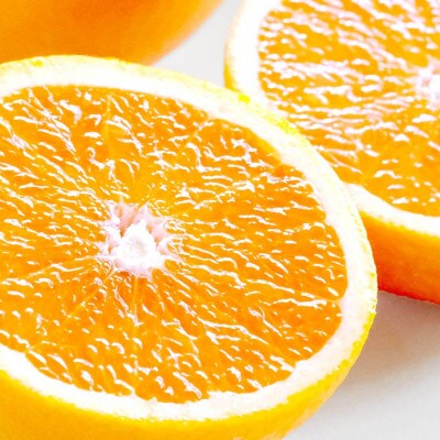 【ご家庭用】清見 7kg 愛媛県 八幡浜市 西宇和地区 柔らかい果肉【G25-365】