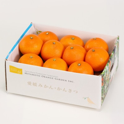 最高級みかん 媛皇 まどんな 2.5kg 愛媛県 八幡浜市 西宇和地区 希少品種【C25-367】