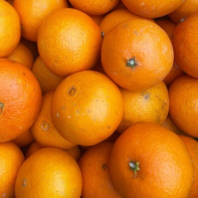 【ご家庭用】紅まどんな と同品種 愛媛果試28号 3.5kg 八幡浜市【D25-372】