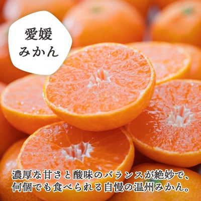 【ご家庭用】「みかん・まどんな食べ比べセット」 愛媛県 八幡浜産　合計4kg【C25-381】