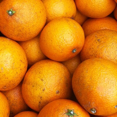 【ご家庭用】紅まどんな と同品種 2kg 八幡浜市 愛媛果試28号【C25-382】