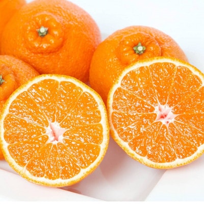 最高級みかん 媛皇 不知火 2kg 愛媛県 八幡浜市 西宇和地区【C25-383】