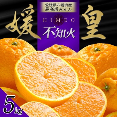最高級みかん 媛皇 不知火 5kg 愛媛県 八幡浜市 西宇和地区【D25-385】