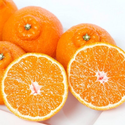 最高級みかん 媛皇 不知火 7kg 愛媛県 八幡浜市 西宇和地区【E25-386】