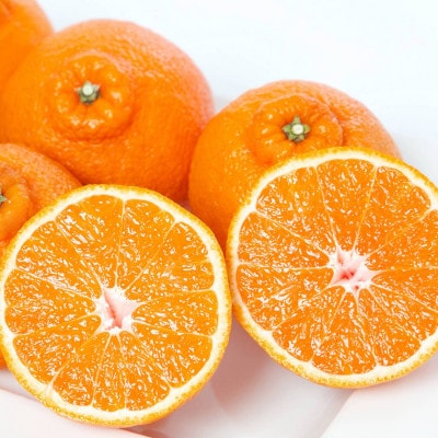 不知火 2kg みかん 愛媛県 八幡浜市 西宇和地区 濃厚な柑橘【C25-387】