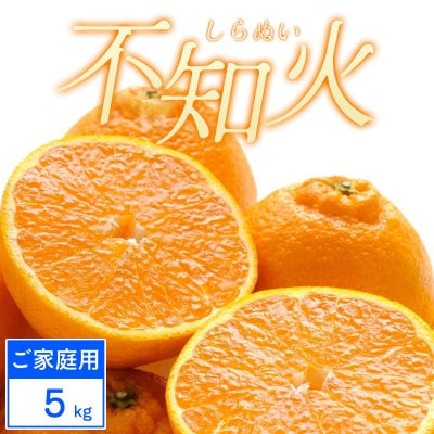 【ご家庭用】不知火 5kg みかん 愛媛県 八幡浜市 西宇和地区【C25-388】
