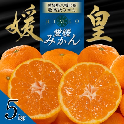 愛媛みかん みかん選びはこれで完璧！愛媛の代表的な品種と特徴をご紹介｜iyomemo